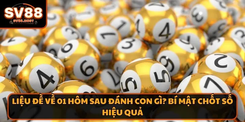 đề về 01 hôm sau đánh con gì